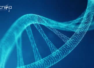 NIPGR Life Sciences /