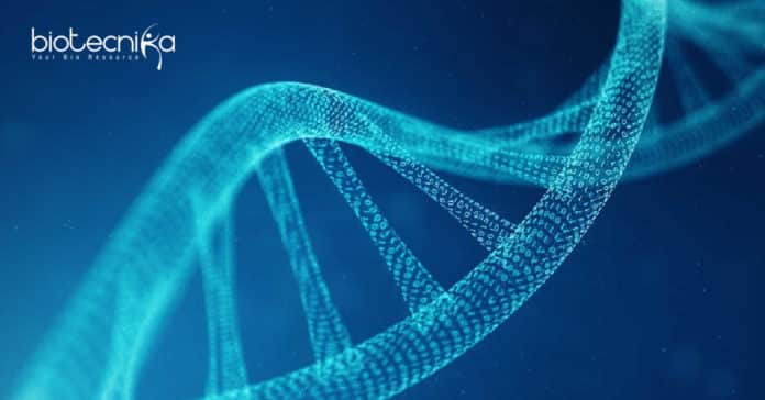 NIPGR Life Sciences /