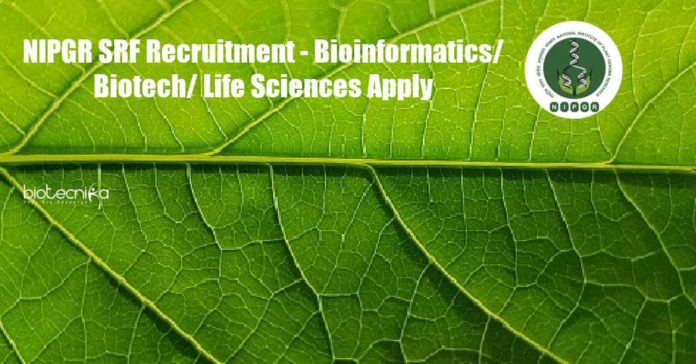 NIPGR SRF Recruitment