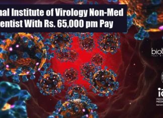 NIV Scientist Jobs