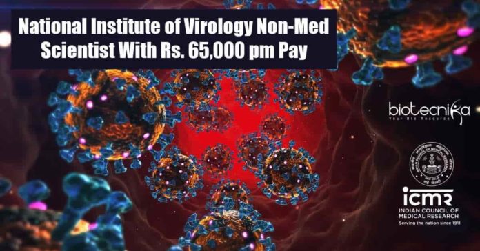 NIV Scientist Jobs