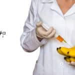 NRCB JRF & Project Fellow Jobs For Biotech & Molecular Biology NRCB JRF