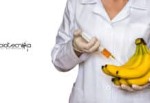 NRCB JRF & Project Fellow Jobs For Biotech & Molecular Biology NRCB JRF