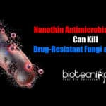 Superbug Destroyer : New Nanotech Kills Fungal & Bacterial Cells Nano Thin Superbug Killer, New nanotechnology by RMIT, Black phosphorous-based coating, Nano thin antimicrobial coating