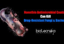 Superbug Destroyer : New Nanotech Kills Fungal & Bacterial Cells Nano Thin Superbug Killer, New nanotechnology by RMIT, Black phosphorous-based coating, Nano thin antimicrobial coating