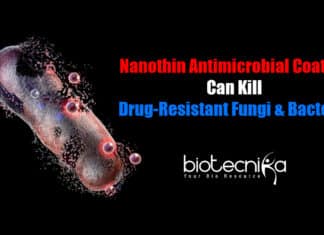 Superbug Destroyer : New Nanotech Kills Fungal & Bacterial Cells Nano Thin Superbug Killer, New nanotechnology by RMIT, Black phosphorous-based coating, Nano thin antimicrobial coating