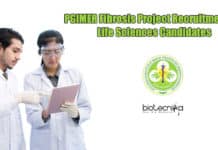 PGIMER Fibrosis Project Recruitment For Life Sciences Candidates PGIMER Jobs For Lifesciences