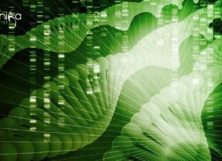 Panjab University Biophysics Project Assistant Job Opening Panjab University Biophysics Project