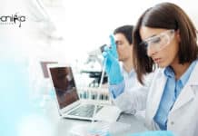 Panjab University Project Fellow & Associate Job Available Panjab University Project Fellow