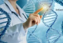 BioNEST-Panjab University Technical Officer Job Opening Panjab University Vacancies