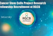 Govt Cancer Stem Cells Project Research Fellowship Recruitment at RGCB RGCB Biochemistry