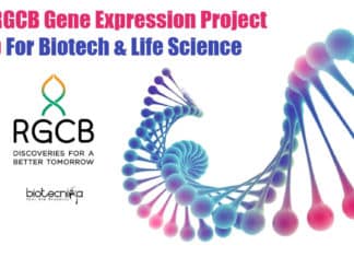 RGCB Thiruvananthapuram PhD Jobs