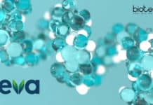 Teva Pharmaceuticals Regulatory Affairs Job For Life Sciences Teva Pharmaceuticals Regulatory Affairs