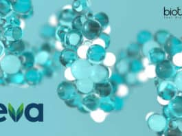 Teva Pharmaceuticals Regulatory Affairs