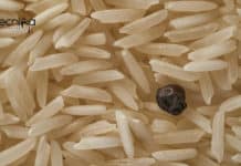 Visva-Bharati Junior Research Fellow Life Science Vacancy Visva-Bharati Junior Research Fellow