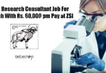 Govt Research Consultant Job For Biotech With Rs. 60,000 pm Pay at ZSI ZSI Research Jobs