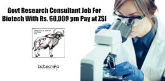 ZSI Research Jobs