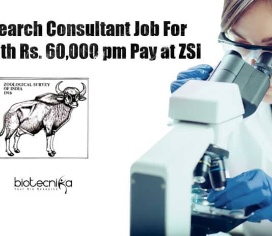 ZSI Research Jobs