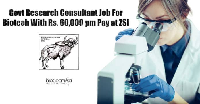 ZSI Research Jobs