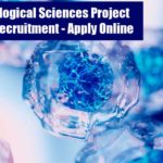 inStem Project Jobs