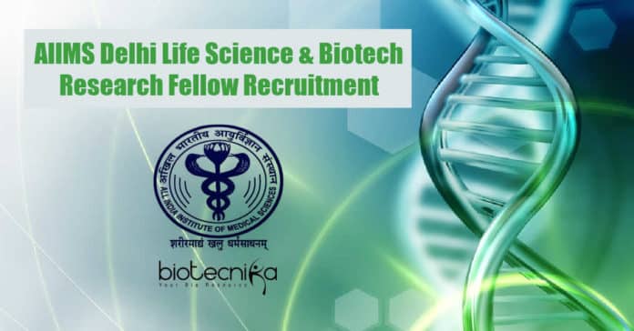 AIIMS Delhi Job Opening