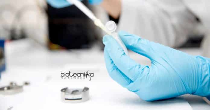 Beckman Coulter Vacancy