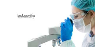 Bharathidasan University Biotech Jobs