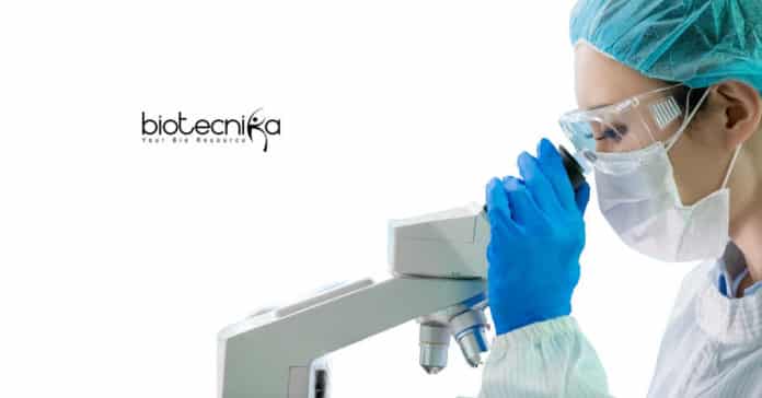 Bharathidasan University Biotech Jobs