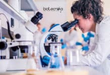 Bharathidasan University Biotech & Life Sciences Project Fellow Job Bharathidasan University Project Fellow