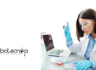 Bharathidasan University Vacancies