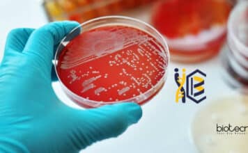 CSIR-IICB Technician Vacancy For BSc Biochem & Microbiology CSIR-IICB Technician Vacancy