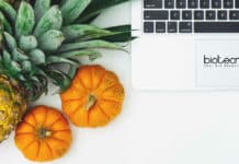 GNDU SANKALP Food Tech Project Fellows Recruitment GNDU Project Fellow Jobs