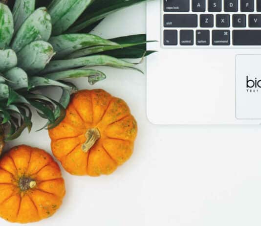 GNDU Project Fellow Jobs