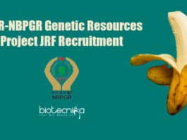 ICAR-NBPGR Jobs