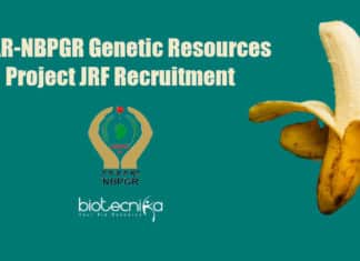 ICAR-NBPGR Genetic Resources Project JRF Recruitment ICAR-NBPGR Jobs