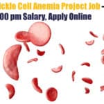 CSIR-IICB Sickle Cell Anemia Project Job – Rs. 42,000 pm Salary, Apply Online IICB Molecular Biology