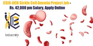 IICB Molecular Biology