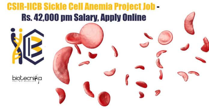 IICB Molecular Biology