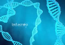 IISER Kolkata Sustainable Biofuels Project Recruitment IISER Kolkata JRF Jobs