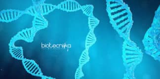 IISER Kolkata JRF Jobs