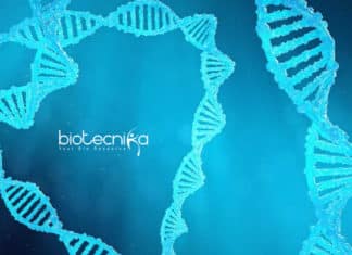 IISER Kolkata JRF Jobs