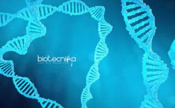 IISER Kolkata JRF Jobs