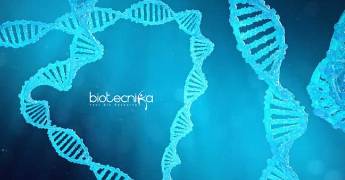 IISER Kolkata JRF Jobs