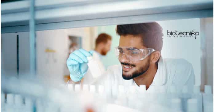 IIT Indore JRF Position