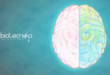 IIT Kanpur Human Brain Development Project Vacancy For Life Science IIT Kanpur Project Job