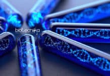 IIT Kharagpur Virus Resistance Project Recruitment – Apply Online IIT-Kharagpur JRF & SRF