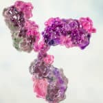 IIT Kharagpur SRF Vacancy