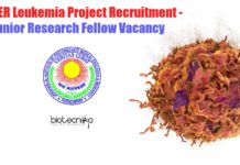 JIPMER Leukemia Project Recruitment – Junior Research Fellow Vacancy JIPMER Vacancy JRF