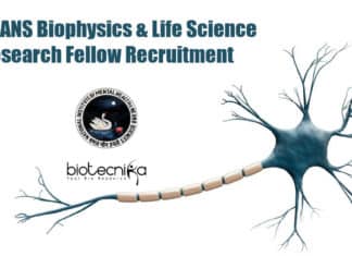 NIMHANS Biophysics & Life Science Research Fellow Recruitment Lifescience Research Fellow