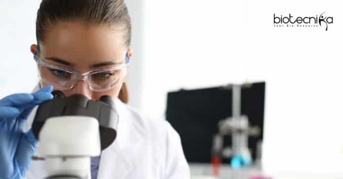 MKU JRF/PA Job Opening